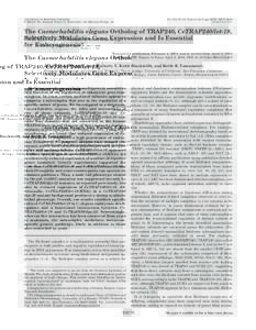 THE JOURNAL OF BIOLOGICAL CHEMISTRY © 2004 by The American Society for Biochemistry and Molecular Biology, Inc. Vol. 279, No. 28, Issue of July 9, pp –29277, 2004 Printed in U.S.A.