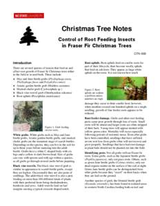 Christmas Tree Notes Control of Root Feeding Insects in Fraser Fir Christmas Trees CTN-008  Introduction