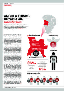 WORK IN PROGRESS- Economy; Article from the Banker on Anola incorporating comments by Nicholas Staines, IMF Resident Representative for Angola, May 2014