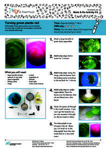 THE SCIENCE LAB  Make & Do Activity Kit Turning green plants red