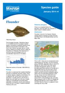 Species guide January 2014 v4 Flounder Fisheries and gears There is no targeted fishery for