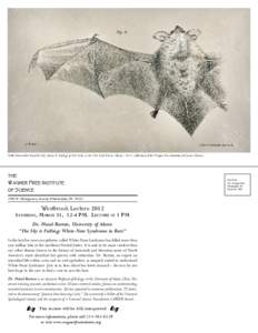 ‘Little Brown Bat’ from De Kay, James E. Zoology of New York, or the New-York Fauna. Albany : 1842. Collection of the Wagner Free Institute of Science Library.  the Wagner Free Institute of Science 1700 W. Montgomery