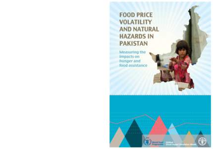 Food price volatility and natural hazards in Pakistan: Measuring the impacts on hunger and food assistance