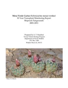 Mesa Verde cactus / Montezuma County /  Colorado / San Juan County /  New Mexico / Cactus / Sclerocactus / Navajo Nation / Shiprock /  New Mexico / Colorado / Flora of the United States / Mesa Verde National Park