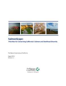 Microsoft Word - SalmonScape_Priorities for Conserving CA Salmonid Diversity_TNC_2011 August.docx