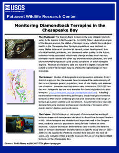 Patuxent Wildlife Research Center  Monitoring Diamondback Terrapins in the Chesapeake Bay The Challenge: The Diamondback terrapin is the only obligate brackish water turtle species in North America. As its life history d