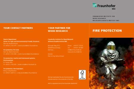 FRAUNHOFER INSTITUTe FoR W oo d R esearch W ilhel m - K lau d it z - I nstitut W K I Your Contact partners