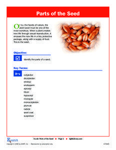 Parts of the Seed  O