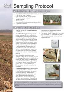 Soil Sampling Protocol Materials needed for one sample: • • • •
