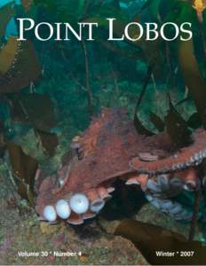 POINT LOBOS A Publication of the Point Lobos Association Volume 30 *30 Number