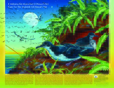 E Mälama Nä Manu Kai O Hawai‘i Nei Care For The Seabirds Of Hawai‘i Nei Conservation Council for Hawai‘i and its Poster Partners are pleased to produce this year’s annual wildlife poster celebrating the seabird