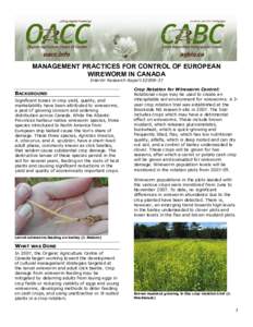 Management Practices for control of European wireworm in Canada