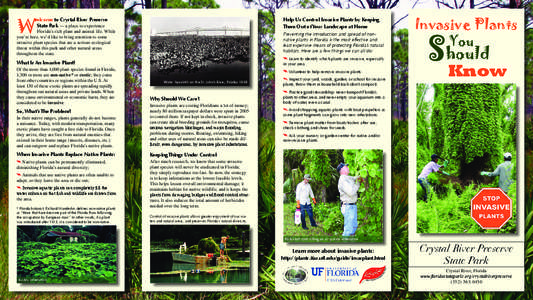 W  elcome to Crystal River Preserve State Park — a place to experience  Help Us Control Invasive Plants by Keeping