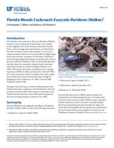 EENY-514  Florida Woods Cockroach Eurycotis floridana (Walker)1