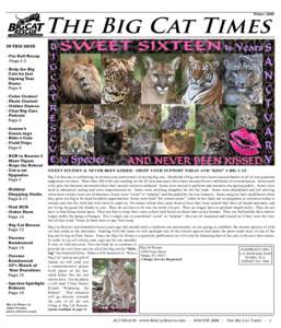 WinterThe Big Cat Times In this issue - Fur Ball Recap Page 2-3