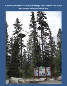 Yukon Electrical Millennium Trail Bald Eagle Nest—Whitehorse, Yukon Nest locaƟon on Robert Service Way Yukon Electrical Millennium Trail Bald Eagle Nest—Whitehorse, Yukon Nest locaƟon on Robert Service Way