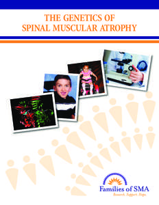 THE GENETICS OF SPINAL MUSCULAR ATROPHY Contents INTRODUCTION What is spinal muscular atrophy?