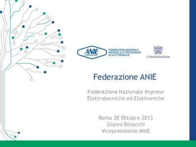 Federazione ANIE Federazione Nazionale Imprese Elettrotecniche ed Elettroniche Roma 28 Ottobre 2013 Gianni Binacchi Vicepresidente ANIE