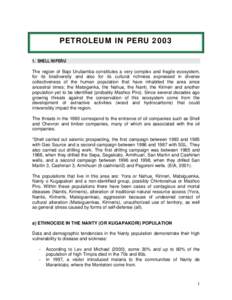 Microsoft Word - Peru ingles 2003.doc