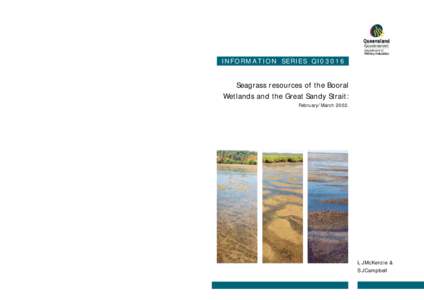 Microsoft Word - Booral & GSS seagrass resources - QPWS.doc
