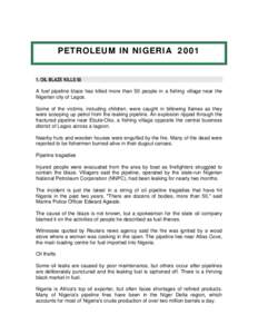 International relations / Petroleum industry in Nigeria / Lagos / Nigeria / Niger Delta / Petroleum industry / Energy in Nigeria / Africa / Niger River Delta