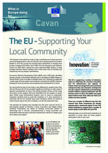 The EU -Supporting Your Local Community The European Union (EU) has made a major contribution to Cavan’s economic and social development in the last 40 years. Since Ireland joined the Common Market in 1973 the country 