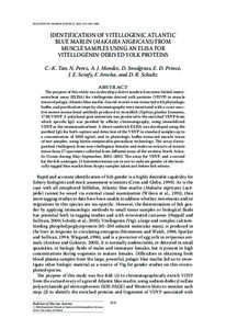 BULLETIN OF MARINE SCIENCE, 78(2): 319–329, 2006  Identification of vitellogenic Atlantic blue marlin (Makaira nigricans) from muscle samples using an ELISA for vitellogenin-derived yolk proteins