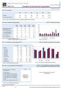 Dossier local - Commune - Villefranche-du-Queyran