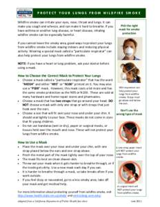 NEW MEXICO DEPARTMENT OF PROTECT YOUR LUNGS FROM WILDFIRE SMOKE  HEALTH