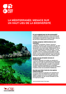 LA MÉDITERRANÉE: MENACE SUR UN HAUT LIEU DE LA BIODIVERSITÉ En quoi la Méditerranée est-elle remarquable? Le Bassin méditerranéen est reconnu comme un haut lieu de la biodiversité: sa flore exceptionnelle compte 