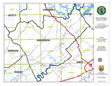 JACKSBORO BLOCK NORMA  WHITE-HOLLOW