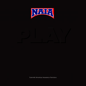 Summit America Insurance Services  Do you know what my favorite part of the game is? The opportunity to play. Mike Singletary