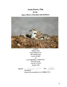 Microsoft Word - Snowy Plover final