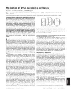 Mechanics of DNA packaging in viruses Prashant K. Purohit†, Jane´ Kondev‡, and Rob Phillips†§ †Division of Engineering and Applied Science, California Institute of Technology, Pasadena, CA 91125; and ‡Physics