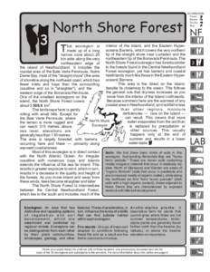 3  North Shore Forest ECOREGION Forest