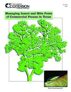 Hexapoda / Agricultural pest insects / Flora of North America / Flora of the United States / Acrobasis / Sternorrhyncha / Acrobasis nuxvorella / Aphid / Insecticide / Pest control / Hickory / Pecan