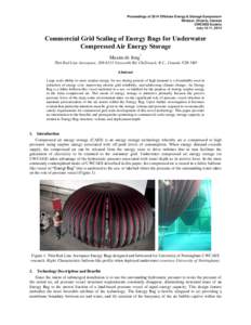 Proceedings of 2014 Offshore Energy & Storage Symposium Windsor, Ontario, Canada UWCAES Society July 10-11, 2014  Commercial Grid Scaling of Energy Bags for Underwater