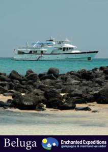 Volcanism / Baltra Island / Galapagos Hawk / Santa Cruz Island / Marine Iguana / Galápagos Province / San Cristóbal Island / Galápagos National Park / Isabela Canton / Galápagos Islands / Geology / Volcanology