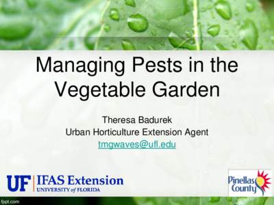 Managing Pests in the Vegetable Garden Theresa Badurek Urban Horticulture Extension Agent 