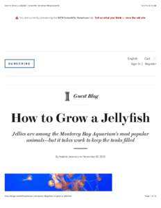 How to Grow a Jellyfish - Scientific American Blog Network