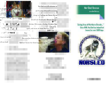 NorSled is an all-volunteer 501 c (3) nonprofit group dedicated to rescuing, rehabilitating and finding new homes for unwanted, abused and abandoned; Siberian Huskies, Alaskan Malamutes, Alaskan Huskies, Samoyeds, and mi