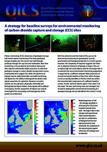 Quantifying and monitoring potential ecosystem impacts of geological carbon storage Fact Sheet 3  A strategy for baseline surveys for environmental monitoring