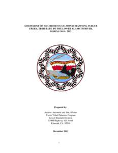 ASSESSMENT OF ANADROMOUS SALMONID SPAWNING IN BLUE CREEK, TRIBUTARY TO THE LOWER KLAMATH RIVER, DURING[removed]Prepared by: Andrew Antonetti and Erika Partee