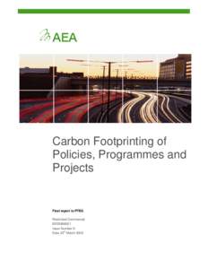 Microsoft Word - AEA PTEG Carbon Footprinting final version.doc