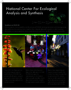 National Center For Ecological Analysis and Synthesis Synthesis at NCEAS Diverse experts from around the world convene at NCEAS, working intensively with heterogeneous data and powerful analytical tools; together they in