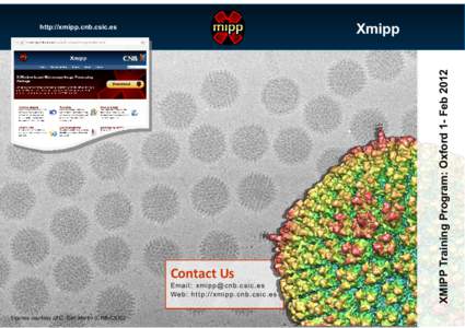 Contact Us E m a i l : xm i p p @ c n b . c s i c . e s W e b : h t t p : / / xm i p p . c n b . c s i c . e s Figures courtesy of C. San Martin (CNB-CSIC)