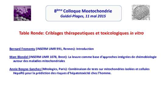 8ème Colloque Meetochondrie Guidel-Plages, 11 mai 2015 Table Ronde: Criblages thérapeutiques et toxicologiques in vitro Bernard Fromenty (INSERM UMR 991, Rennes): Introduction Marc Blondel (INSERM UMR 1078, Brest): La 