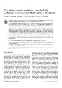 New albanerpetontid amphibians from the Early Cretaceous of Morocco and Middle Jurassic of England JAMES D. GARDNER, SUSAN E. EVANS, and DENISE SIGOGNEAU−RUSSELL