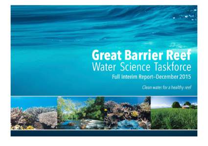 Great Barrier Reef Water Science Taskforce: Full Interim Report (Low res version)