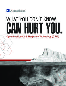 WHAT YOU DON’T KNOW  CAN HURT YOU. Cyber Intelligence & Response Technology (CIRT)  Eliminate Your Cyber Security Blind Spots…